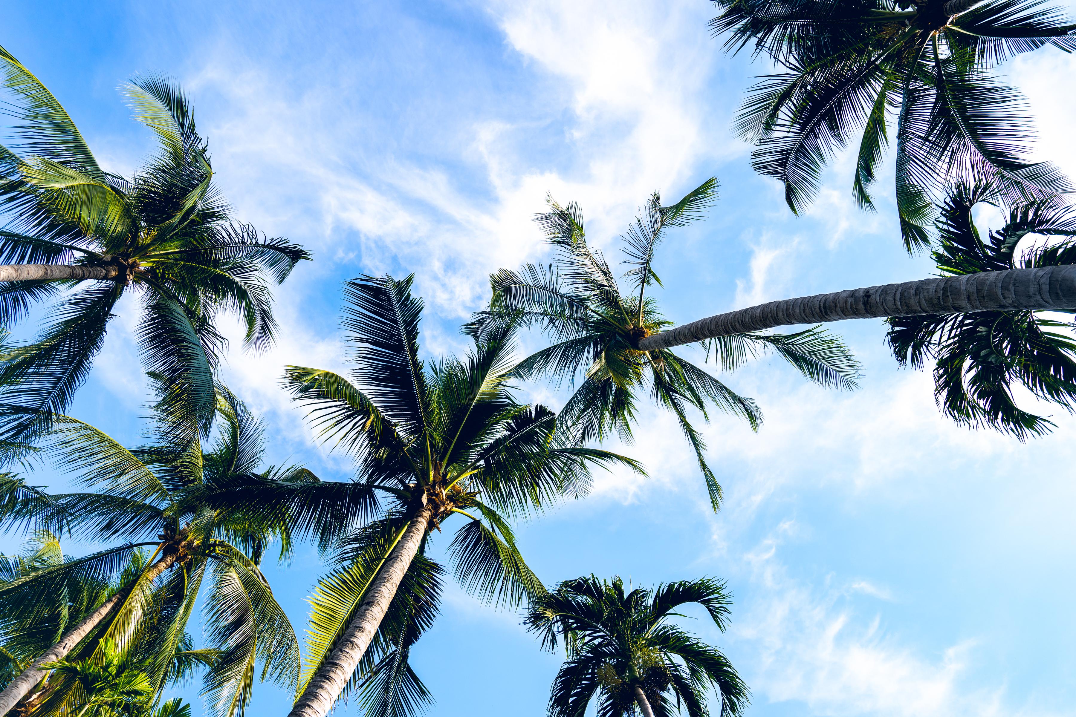 Chaweng Buri Resort Eksteriør bilde